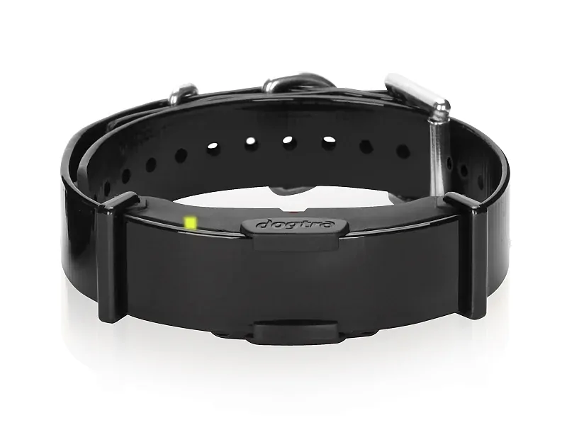 Dogtra ARC 800 Double Contact