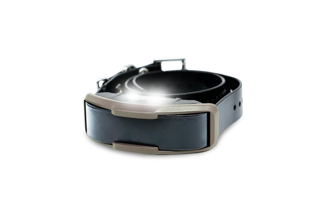 Dogtra 1200X