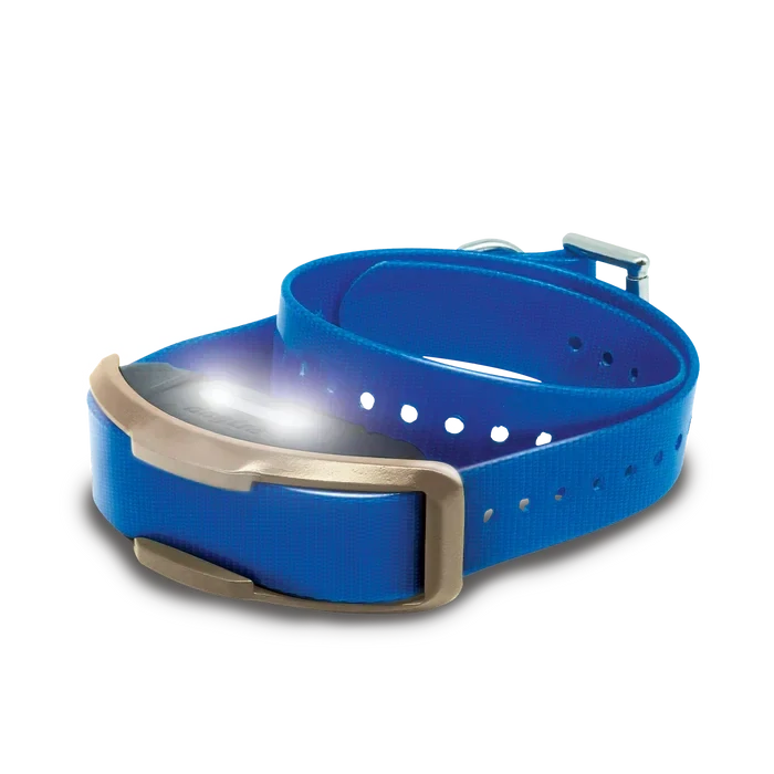 Dogtra ARC 800 FREE PLUS Double Contact HS